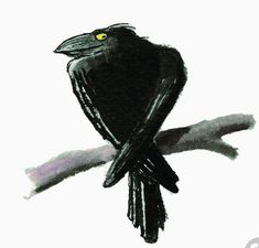 a drawing of a black bird sitting on a tree branch with the sun shining through its eyes