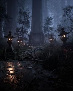 lanterns lit up in the dark forest at night