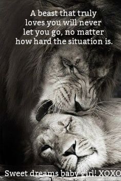 Lioness Quotes, Love You Forever Quotes, Sweet Dreams Baby, Leo Zodiac Facts, Lion Quotes, Lion Love, Lion And Lioness, Real Love Quotes, Lion Images