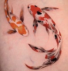 two orange and white koi fish swimming in the water on someone's back