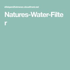 the words natures - water - filet are in white on a green background