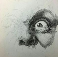 a pencil drawing of a monkey's face