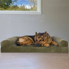 a german shepard dog laying on his bed in the middle of an empty living room