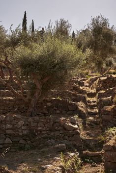 an old stone structure with trees growing out of the top and dirt on the bottom