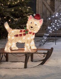 a lighted dog on a sled in front of a christmas tree