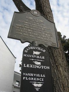 a sign on the side of a tree in front of a white building and blue sky