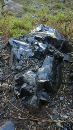 a pile of rocks sitting on top of a rocky ground next to grass and bushes