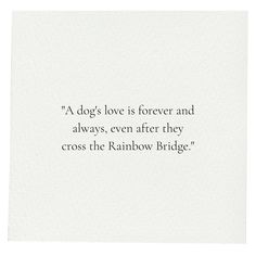 Dog death quotes rainbow bridge. Losing Puppy Quotes, Quotes For Passed Dogs, Losing My Dog Quotes, I Miss My Dog Quotes, Lost A Pet Quotes, Losing An Animal Quotes, In Memory Of My Dog Quotes, Lost My Dog Quotes, Dog Died Quotes Thoughts