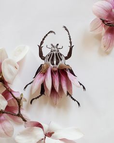 a bug sitting on top of a pink flower next to white flowers