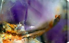 a blurry image of an orange and purple flower