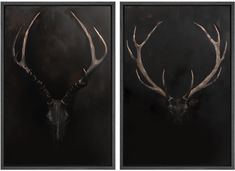 two paintings of deer's head with antlers against a black background