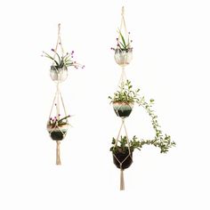 PRICES MAY VARY. Indoor And Outdoor Use: Hang your pots anywhere with included hooks like patios, balconies, gardens, office spaces. Package Includes: 2 handcrafted plant hangers, 68" and 49" long with 4 legs, 3 tier 68" and 2 tier 49". Accommodates 5 flower pots. Keep Plants Out Of Reach: Hang plant hanger to keep plants away from pets. Space Saver: Hang multiple plant hangers to save indoor space. Durable Cotton Rope: Handmade from lightweight cotton rope with an Art Deco style. Material: cott Double Plant Hanger, Outdoor Plant Hanger, Handmade Pot Holders, Hanging Plant Holder, Hanging Flower Pots, Flower Pot Holder, Grow Tent, Hanging Macrame, Hanging Planter