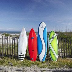 four surfboards are lined up against a fence near the beach and ocean in front of a white picket fence