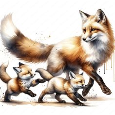 an image of three foxes running together