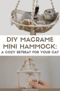 a cat laying in a hammock with the text diy macrame mini hammock a cozy treat for your cat