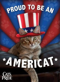 a cat sitting on top of a couch wearing a red, white and blue hat