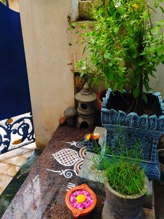 a potted plant sitting on top of a table next to another potted plant