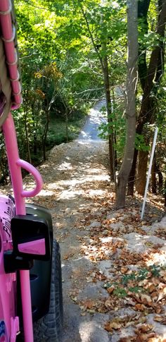 a pink bike parked on the side of a dirt road next to trees and leaves