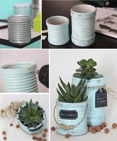 there are many different pictures of tin cans with succulents in them