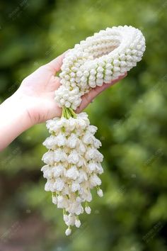 a hand holding white flowers in front of green trees and bushes, with one flower budding off the end