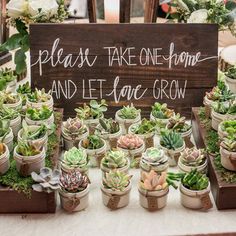 there are many succulents in pots on the table with a sign that says please take one home and let love grow