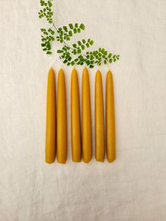 four yellow candles are lined up next to some green leaves on a white sheeted surface