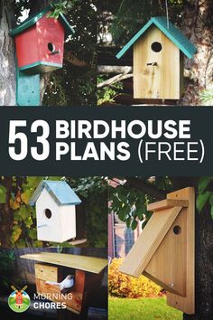 the birdhouse plans are on display in front of trees and bushes with text that reads 53