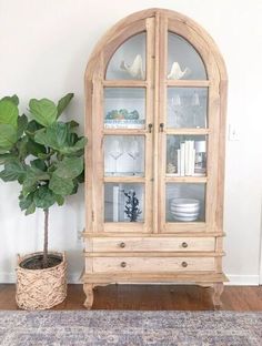 a wooden china cabinet with glass doors next to a potted plant on a rug