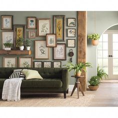 a living room filled with lots of framed pictures on the wall above a green couch