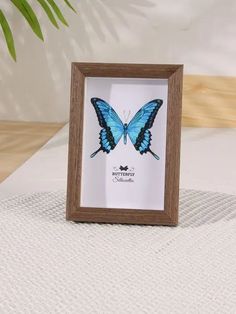 a blue butterfly sitting on top of a table