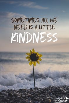 a sunflower with the words sometimes all we need is a little kindness