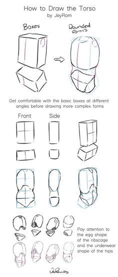 how to draw the torso box step - by - step instructions for beginners