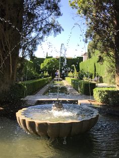 a water fountain in the middle of a garden