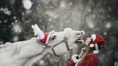 a woman in santa hat kissing a white horse