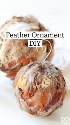 an ornament made out of feathers with the words diy feather ornaments on it