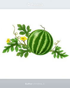 a watermelon with green leaves and yellow flowers