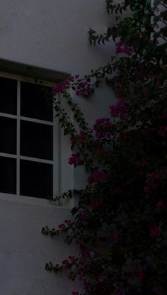 an open window on the side of a white building with purple flowers growing around it