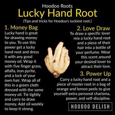 Money Lover, Hoodoo Conjure Rootwork, Hoodoo Rootwork, Hoodoo Magic, Hoodoo Conjure, Spells Magic, Good Luck Spells, Spells For Beginners