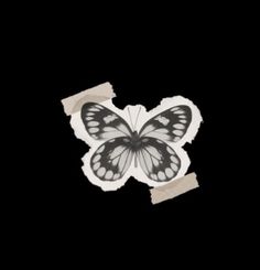 a black and white butterfly with torn paper around it