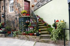 the stairs lead up to an old building with potted plants and flowers on them