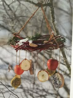 an apple slice mobile hanging from a tree branch in the snow with pine cones and apples on it