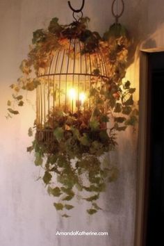 a birdcage hanging from the side of a wall with plants growing out of it