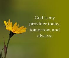 a yellow flower with the words god is my providence today, tomorrow, and always