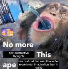 a monkey with its mouth open drinking water from a bottle that says, no more thoughts