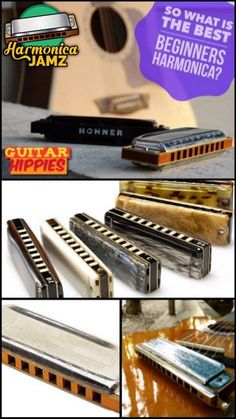 several different types of harmonicas with the words what is the best beginner's harmonica?