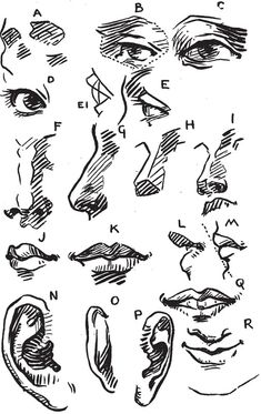 an old black and white drawing of different types of eye shapes, including the upper half of