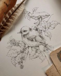 a drawing of a bird sitting on top of a tree branch next to some leaves