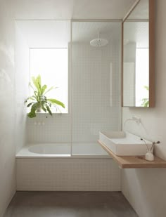 a bathroom with a sink, mirror and bathtub next to a potted plant