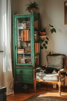 a cat laying on top of a chair next to a book shelf