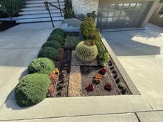 a garden with plants and rocks in front of a house